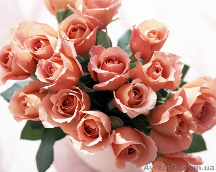 Организация торжеств - <ro>Изображение</ro><ru>Изображение</ru> #1, <ru>Объявление</ru> #130885