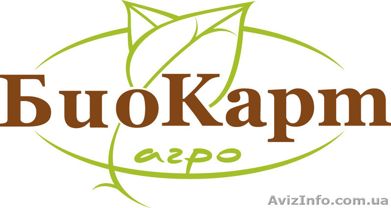 Поставки кукурузы урожая 2011 года - <ro>Изображение</ro><ru>Изображение</ru> #1, <ru>Объявление</ru> #269225