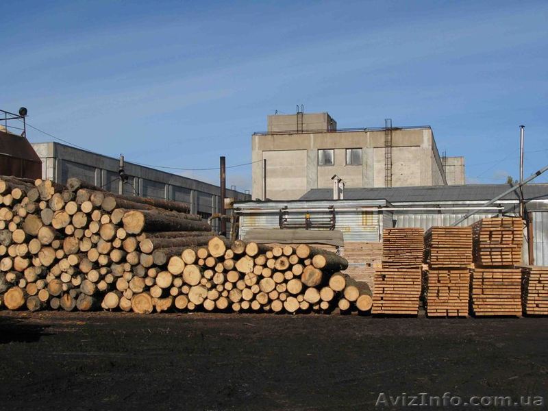 Пиломатериалы, Сухостой, Кругляк, свежий спил. Предоставляем все услуги Экспорта - <ro>Изображение</ro><ru>Изображение</ru> #1, <ru>Объявление</ru> #368919
