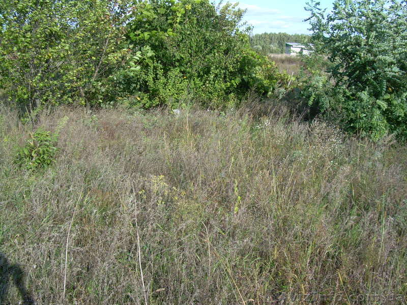 Продам 6 соток приватизированной земли - <ro>Изображение</ro><ru>Изображение</ru> #1, <ru>Объявление</ru> #394514