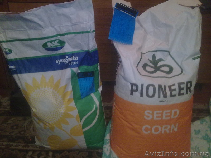 Продам семена посевной кукурзы и подсолнуха - <ro>Изображение</ro><ru>Изображение</ru> #1, <ru>Объявление</ru> #527050