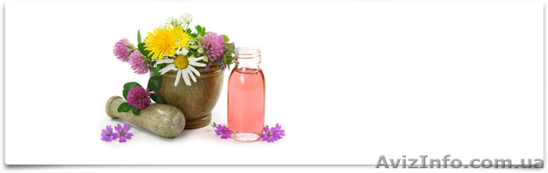 Экоклуб - ваш путь к здоровью и долголетию! - <ro>Изображение</ro><ru>Изображение</ru> #1, <ru>Объявление</ru> #883729