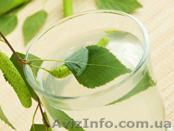 Березовый сок от заготовителей - <ro>Изображение</ro><ru>Изображение</ru> #1, <ru>Объявление</ru> #1051677