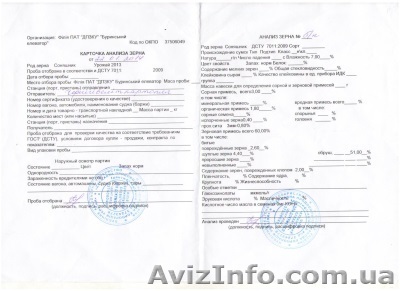 продам семечку, подсолнечник, подсолнух, семена подсолнуха, семена подсолнечника - <ro>Изображение</ro><ru>Изображение</ru> #1, <ru>Объявление</ru> #1053285