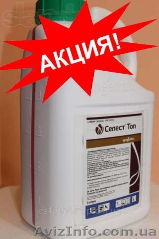 Селест топ 312,5 купить, Селест топ 312,5 продажа, Селест топ 312,5 цена - <ro>Изображение</ro><ru>Изображение</ru> #1, <ru>Объявление</ru> #1229677