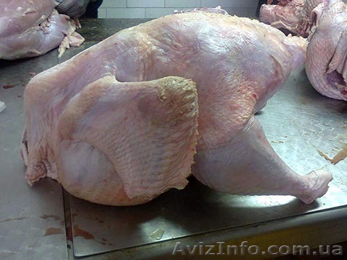Реализуем мясо индейки - <ro>Изображение</ro><ru>Изображение</ru> #1, <ru>Объявление</ru> #1248159