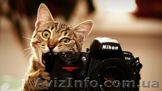 Академия фотографии Чернигове. Сегодня доступной цене Звоните  - <ro>Изображение</ro><ru>Изображение</ru> #1, <ru>Объявление</ru> #1266158