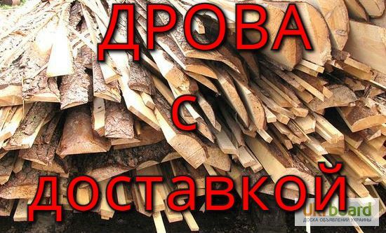 дрова Чернигов недорого - <ro>Изображение</ro><ru>Изображение</ru> #1, <ru>Объявление</ru> #1665615