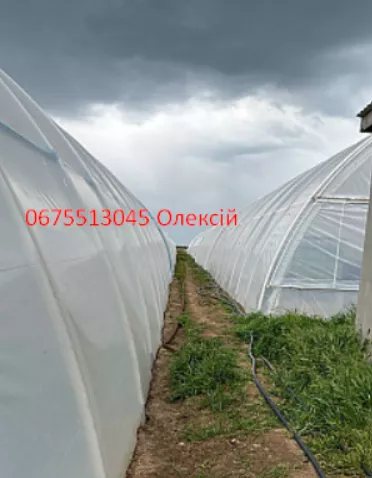 Плівка для теплиць Туреччина Ватан Пластік/Vatan Plastik - <ro>Изображение</ro><ru>Изображение</ru> #1, <ru>Объявление</ru> #1748051