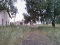 Закрытое акционерное общество(колхоз) - <ro>Изображение</ro><ru>Изображение</ru> #2, <ru>Объявление</ru> #24277