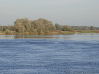 Участок 25. сот.,Дом,сарай, погреб? лес, р. Десна Черниговская обл. - <ro>Изображение</ro><ru>Изображение</ru> #2, <ru>Объявление</ru> #49165