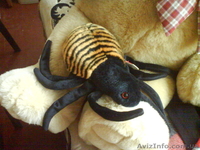 Продам или обменяю хлебопечь. - <ro>Изображение</ro><ru>Изображение</ru> #9, <ru>Объявление</ru> #155944