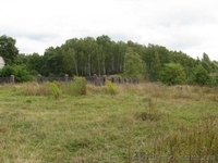 Участок 0,24га на берегу р.Стрижень(Яловщина), Чернигов - <ro>Изображение</ro><ru>Изображение</ru> #4, <ru>Объявление</ru> #159665