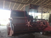 Massey Fergusson 506 - <ro>Изображение</ro><ru>Изображение</ru> #1, <ru>Объявление</ru> #303032