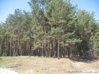 продам полдома в селе возле г.Остер Козелецкий рн. - <ro>Изображение</ro><ru>Изображение</ru> #2, <ru>Объявление</ru> #249133