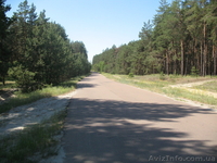 продам полдома в селе возле г.Остер Козелецкий рн. - <ro>Изображение</ro><ru>Изображение</ru> #4, <ru>Объявление</ru> #249133