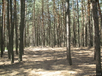 продам полдома в селе возле г.Остер Козелецкий рн. - <ro>Изображение</ro><ru>Изображение</ru> #3, <ru>Объявление</ru> #249133