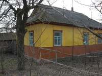 Щорс, С.Кучиновка - <ro>Изображение</ro><ru>Изображение</ru> #1, <ru>Объявление</ru> #316894