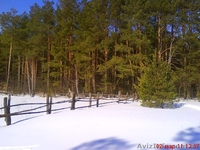 ДОМ У САМОГО ЛЕСA - <ro>Изображение</ro><ru>Изображение</ru> #5, <ru>Объявление</ru> #316900