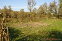 Участок 15сот возле Снова, пгт. Седнев - <ro>Изображение</ro><ru>Изображение</ru> #1, <ru>Объявление</ru> #335820