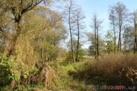 Участок 15сот возле Снова, пгт. Седнев - <ro>Изображение</ro><ru>Изображение</ru> #2, <ru>Объявление</ru> #335820