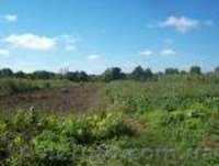 СРОЧНО!!! Продам участок 225сот.  - <ro>Изображение</ro><ru>Изображение</ru> #1, <ru>Объявление</ru> #533165