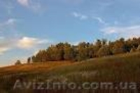 СРОЧНО!!! Продам участок 225сот.  - <ro>Изображение</ro><ru>Изображение</ru> #2, <ru>Объявление</ru> #533165