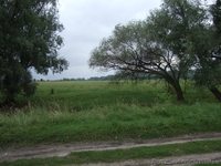 ДАЧА (ДОМ) в селеГорица - <ro>Изображение</ro><ru>Изображение</ru> #4, <ru>Объявление</ru> #586244