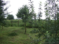 ДАЧА (ДОМ) в селеГорица - <ro>Изображение</ro><ru>Изображение</ru> #7, <ru>Объявление</ru> #586244