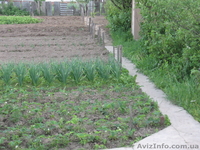 Дачный участок в Сов. Слободе - <ro>Изображение</ro><ru>Изображение</ru> #2, <ru>Объявление</ru> #654486