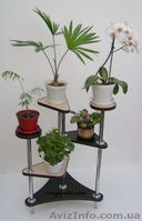 Полки, полочки, подставки - <ro>Изображение</ro><ru>Изображение</ru> #1, <ru>Объявление</ru> #663642