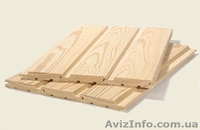 Лиственница сибирская Чернигов Украина - <ro>Изображение</ro><ru>Изображение</ru> #6, <ru>Объявление</ru> #153170