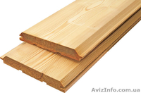 Лиственница сибирская Чернигов Украина - <ro>Изображение</ro><ru>Изображение</ru> #5, <ru>Объявление</ru> #153170