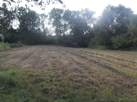 Прода дом в с.Волосковцы Менского района - <ro>Изображение</ro><ru>Изображение</ru> #4, <ru>Объявление</ru> #698734