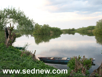 Мини-отель в Седневе на берегу реки Снов - <ro>Изображение</ro><ru>Изображение</ru> #7, <ru>Объявление</ru> #751902