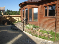 Аренда дома со сруба с баней, бассейном и со свои озером  в Чернигове - <ro>Изображение</ro><ru>Изображение</ru> #1, <ru>Объявление</ru> #759338