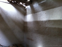 Продам дачу Чернигов! Березанка - <ro>Изображение</ro><ru>Изображение</ru> #8, <ru>Объявление</ru> #903094