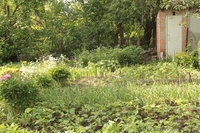 Дача на Подусовке. Дом двух этажный.  - <ro>Изображение</ro><ru>Изображение</ru> #7, <ru>Объявление</ru> #912370