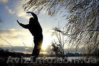  Тайцзи цюань  Цигун - <ro>Изображение</ro><ru>Изображение</ru> #2, <ru>Объявление</ru> #764194