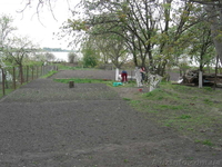 Продам дом в Житомирской области - <ro>Изображение</ro><ru>Изображение</ru> #3, <ru>Объявление</ru> #992534