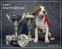 Без ам. стаффа любовь живет В другом доме - <ro>Изображение</ro><ru>Изображение</ru> #2, <ru>Объявление</ru> #1050378