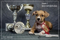 Без ам. стаффа любовь живет В другом доме - <ro>Изображение</ro><ru>Изображение</ru> #3, <ru>Объявление</ru> #1050378