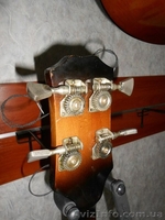 Полуакустическая Бас Гитара Мария - <ro>Изображение</ro><ru>Изображение</ru> #6, <ru>Объявление</ru> #1255243