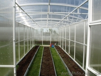 Теплицы из поликарбоната или плёнки - <ro>Изображение</ro><ru>Изображение</ru> #3, <ru>Объявление</ru> #1466474