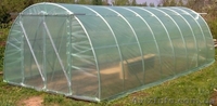 Теплицы из поликарбоната или плёнки - <ro>Изображение</ro><ru>Изображение</ru> #4, <ru>Объявление</ru> #1466474