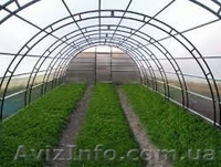 Теплицы.Гарантия 10 лет - <ro>Изображение</ro><ru>Изображение</ru> #2, <ru>Объявление</ru> #1510851