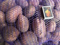 Продаем посадочную картошку разных сортов ОПТОМ - <ro>Изображение</ro><ru>Изображение</ru> #3, <ru>Объявление</ru> #1540850