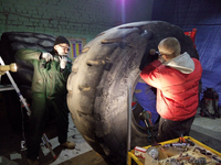  Ремонт крупногабаритных шин. Ремонт грузовых шин, ремонт шин для спецтехники. - <ro>Изображение</ro><ru>Изображение</ru> #1, <ru>Объявление</ru> #1578421