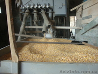 Оборудование для производства различных круп - <ro>Изображение</ro><ru>Изображение</ru> #7, <ru>Объявление</ru> #1606634