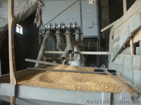 Оборудование для производства различных круп - <ro>Изображение</ro><ru>Изображение</ru> #8, <ru>Объявление</ru> #1606634
